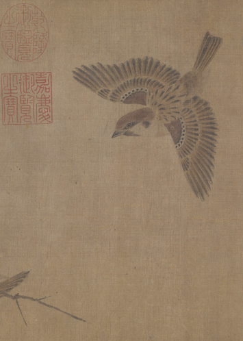 Sparrows in Winter