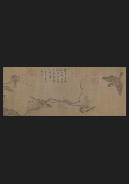 Sparrows in Winter
